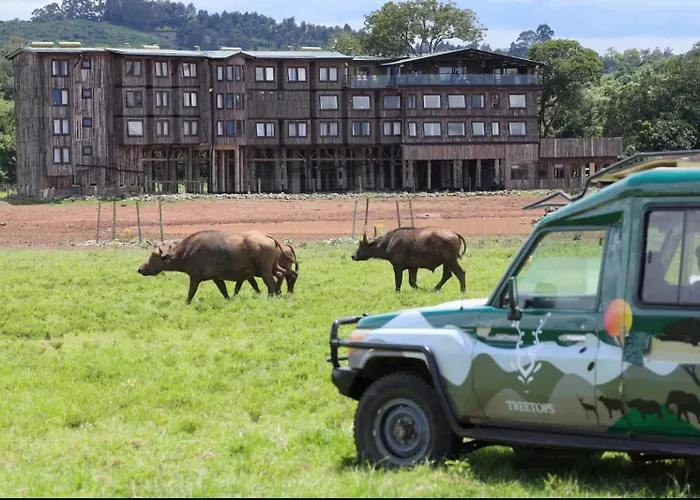 The Treetops Lodge