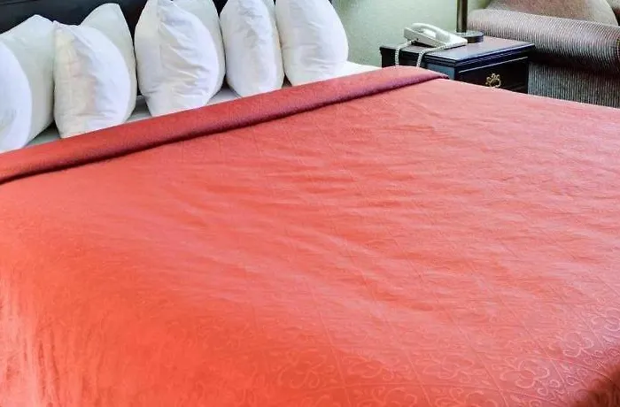 Quality Inn & Suites Hot Springs-Lake Hamilton
