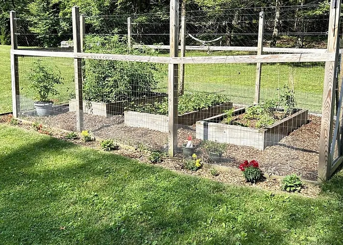 Country Escape On 3 Acres With Big Backyard, Wet Sauna, Projector