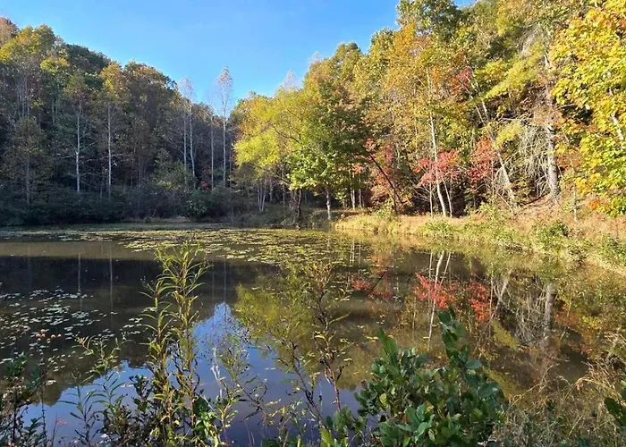 Secluded Off-Grid Glamping Tent On 180 Acres Near Ponds & Forest Trails, Lenoir, Nc