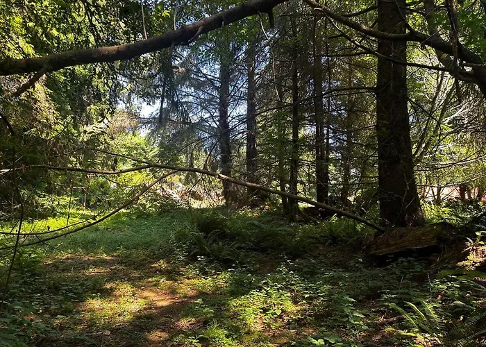 Redwood Retreat