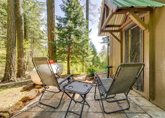 Hike, Bike & Swim! Wooded Retreat In Nevada City