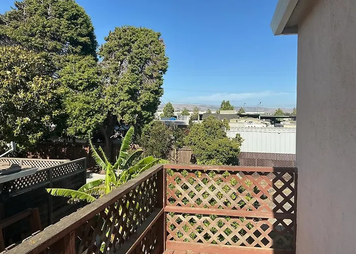 Hayward Studio With Views Of The Bay
