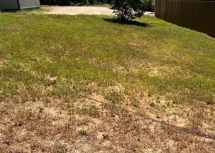 Lovely Entire Apartment In Tyler