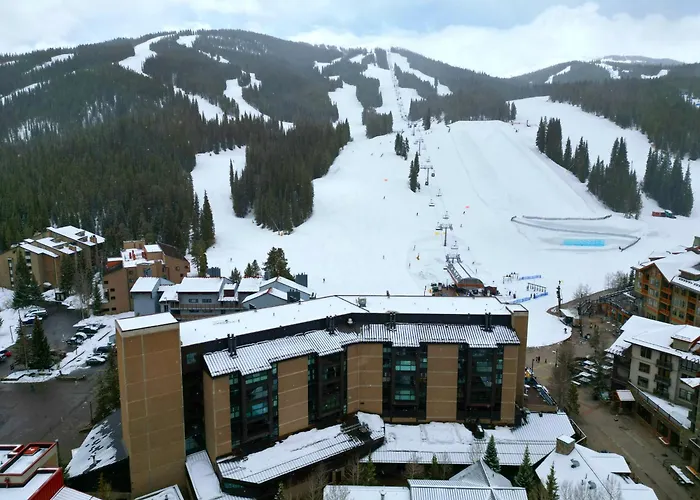 Mp410 Mountain Plaza 1Br 2Ba -Pet Friendly