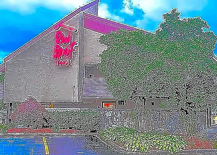 Red Roof Inn Detroit Metro Airport - Belleville
