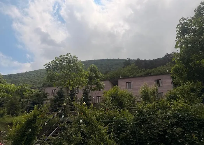 Yeghevnut Hotel