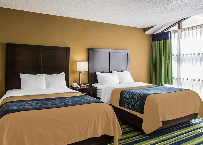 Comfort Inn & Suites Lantana - West Palm Beach South