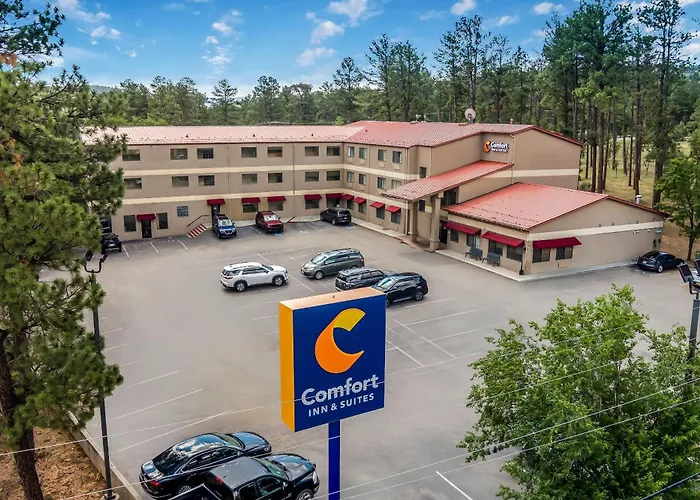 Comfort Inn & Suites Midtown