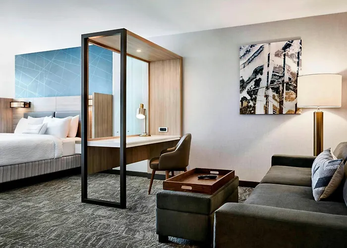 Springhill Suites By Marriott Appleton