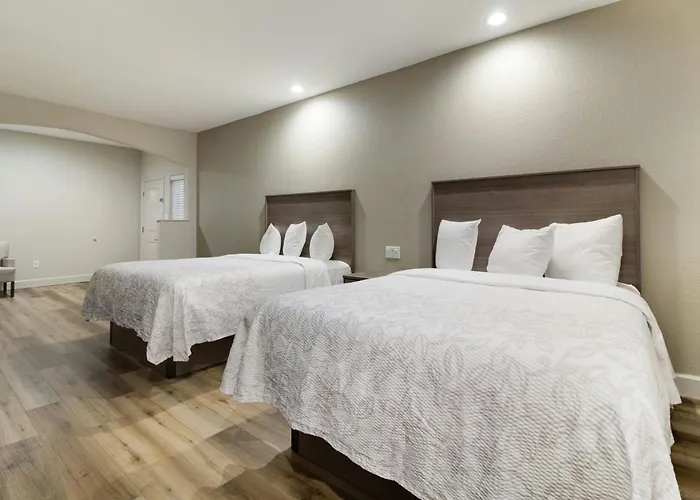 Red Roof Inn Plus + Galveston - Beachfront