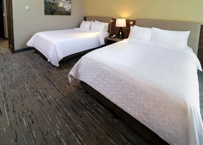 Holiday Inn Express & Suites Monterrey Valle By Ihg