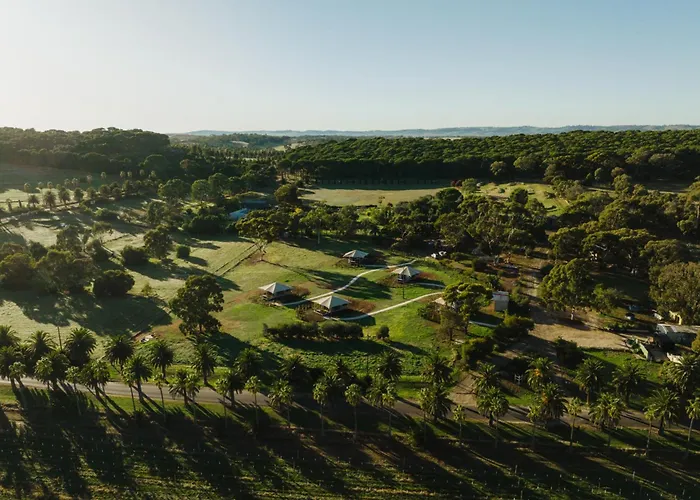 Canvs By Cabn Seppeltsfield Barossa