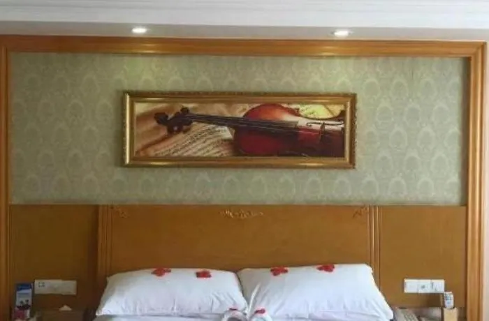 Vienna Hotel Guangxi Fusui