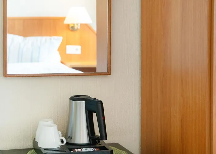 Hotel Zum Wikinger