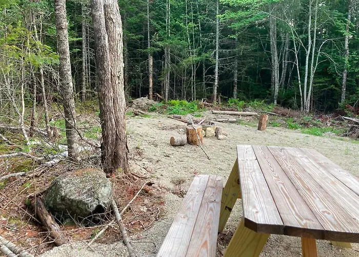 Forest Camps
