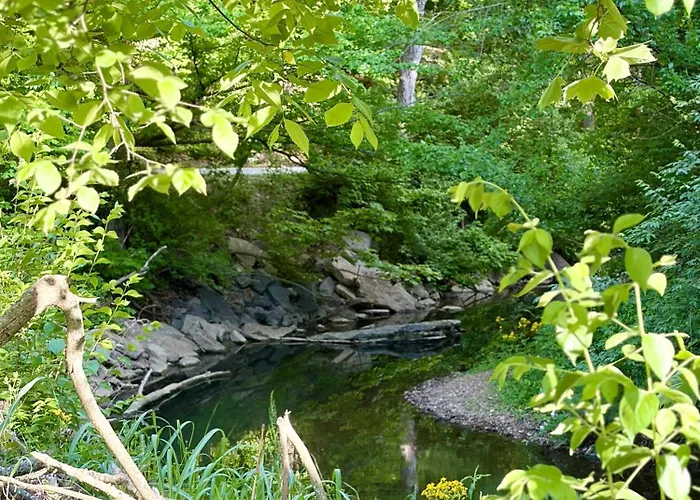The Little Cape Lofted Cottage On Winding Creek In Nature