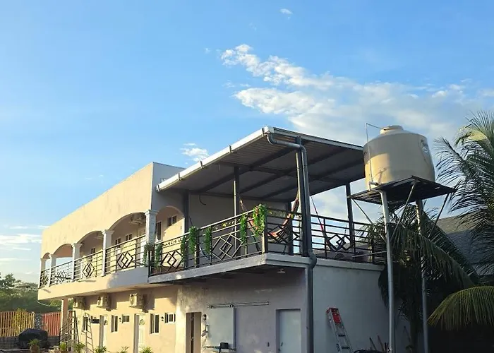 Rivera Solea