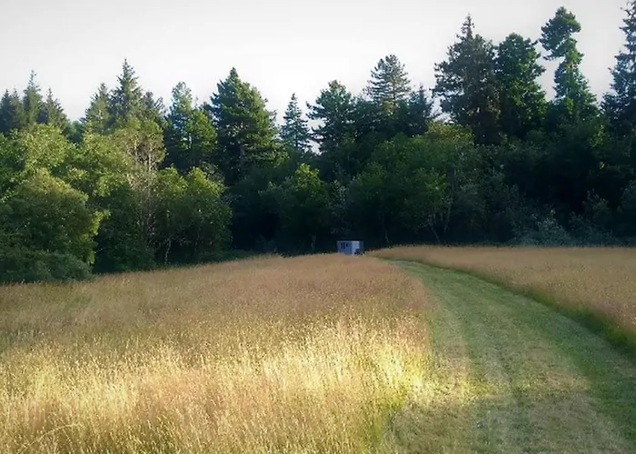 Cozy Campervan Rental On The Banks Of The Elk River In Eureka, California