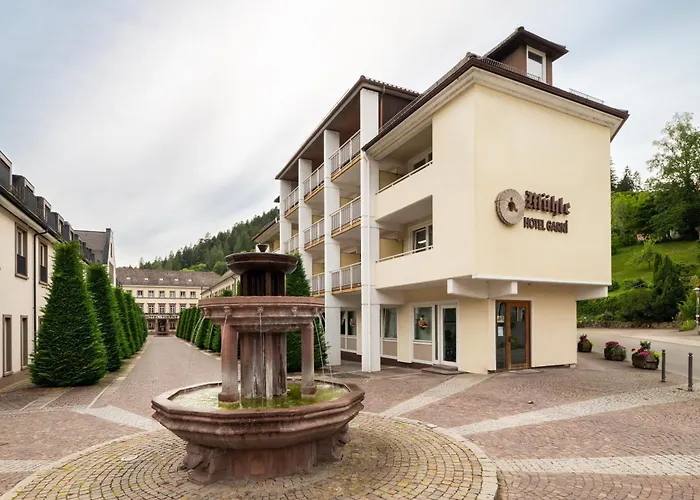 Hotel Mühle