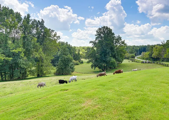 Hot Tub, Goats, Central To Many Attractions!