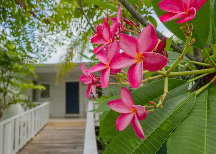 Coconut Palm Inn