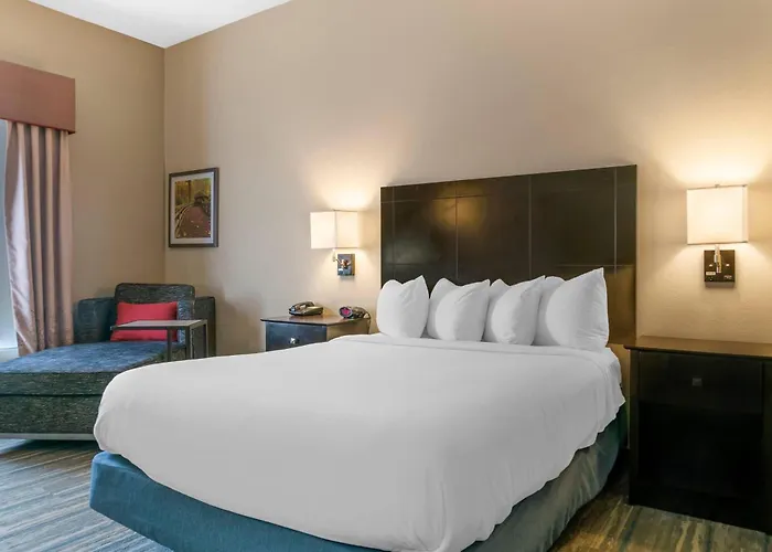 Comfort Inn & Suites Toledo North