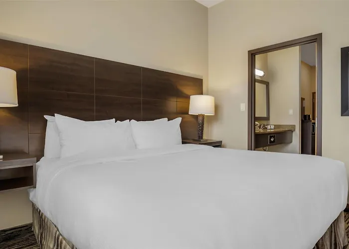 Best Western Plus Bridgewater Hotel & Convention Centre