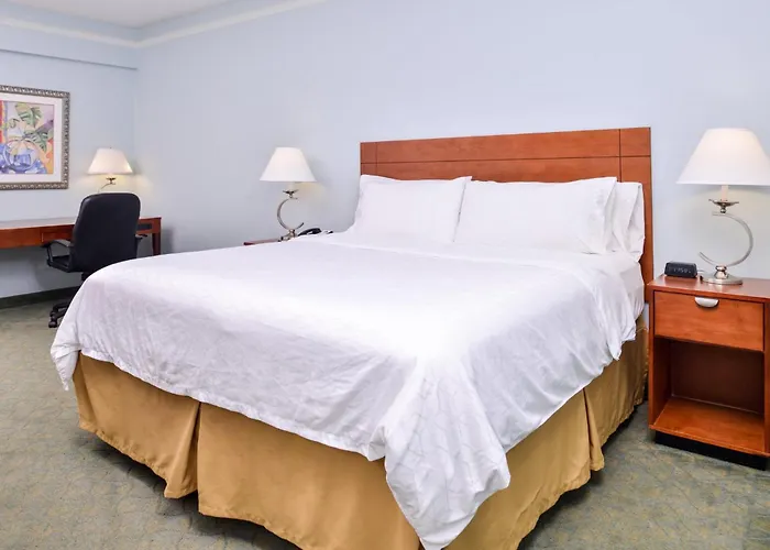 Holiday Inn Express Tampa North Telecom Park By Ihg