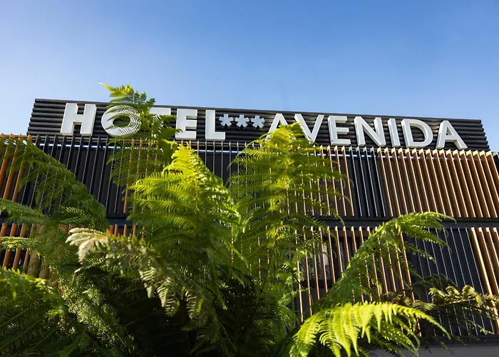Hotel Avenida