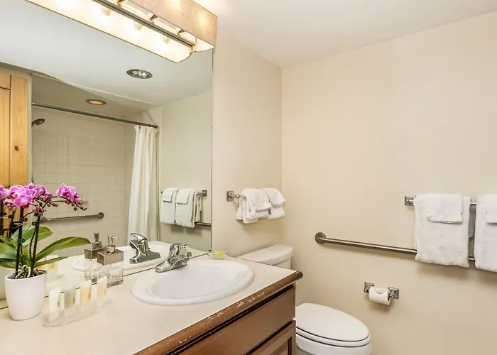 Aspen Alps Apartment #206