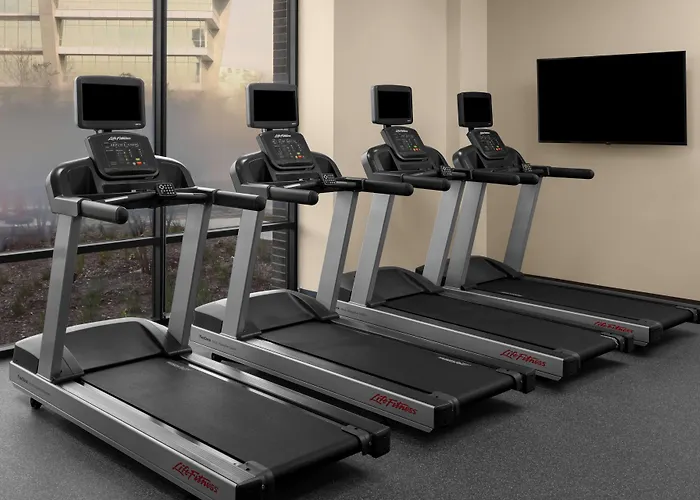 Hilton Garden Inn Grand Prairie At Epiccentral