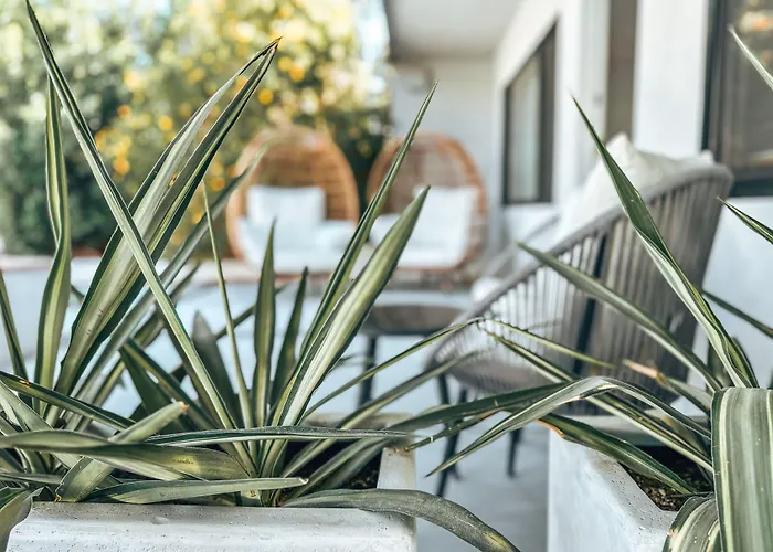 The Yucca Hotel (Adults Only)