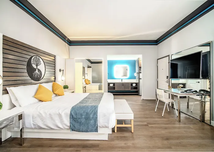 Aspire Inn Studios & Spas