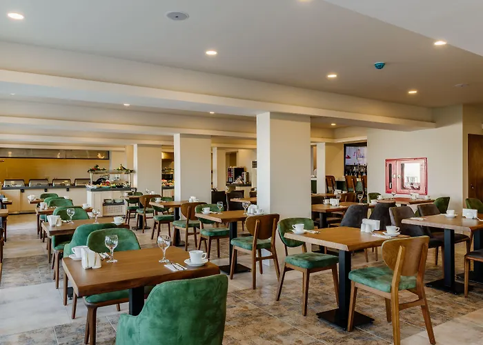 Olivia Palm Hotel
