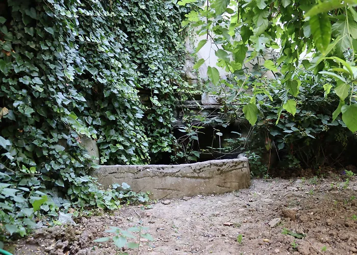 ÖZ Butik Otel Antik Kent Myrleia