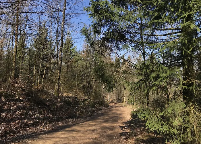 Waldhotel Peter aufm Berge