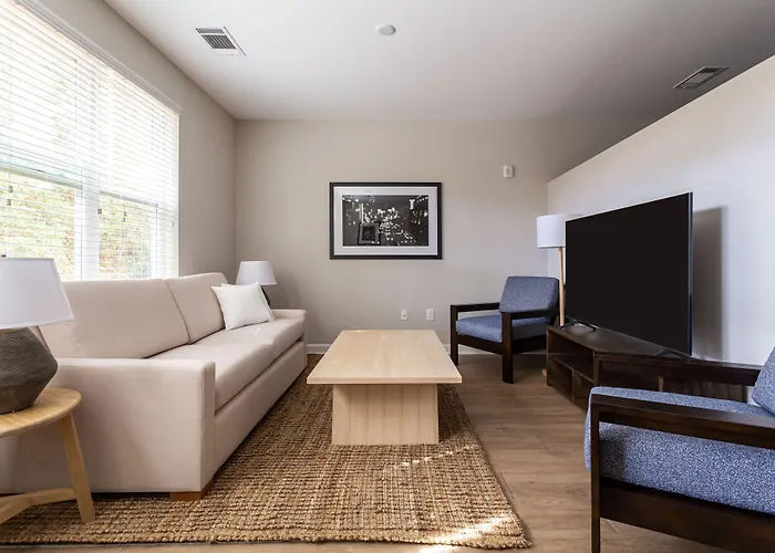 Kasa Freemorewest Charlotte