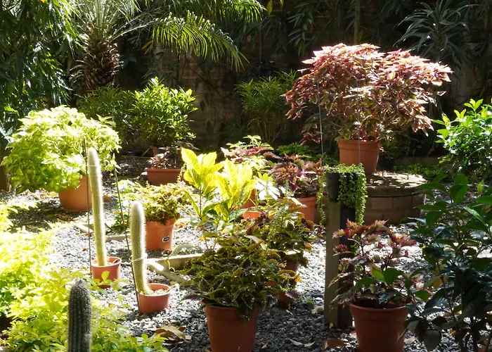 Villa Las Flores