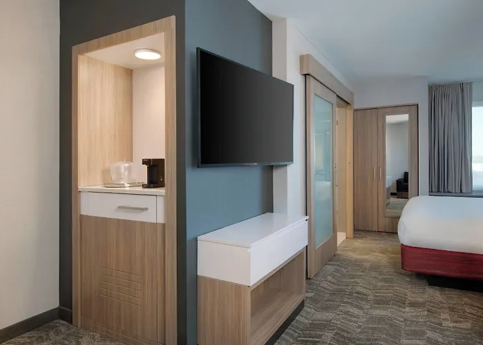 Springhill Suites By Marriott Indianapolis Keystone