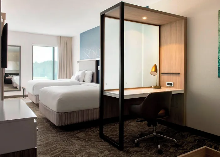 Springhill Suites By Marriott Tampa Suncoast Parkway