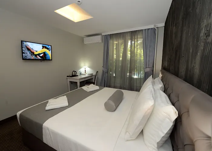 Hotel Alexandar II