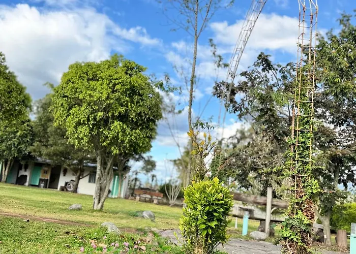 Finca San Alejandro
