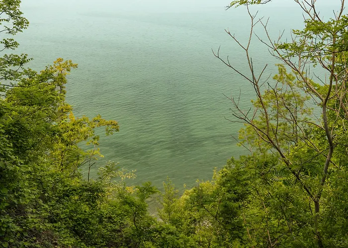Lakeview On The Lake