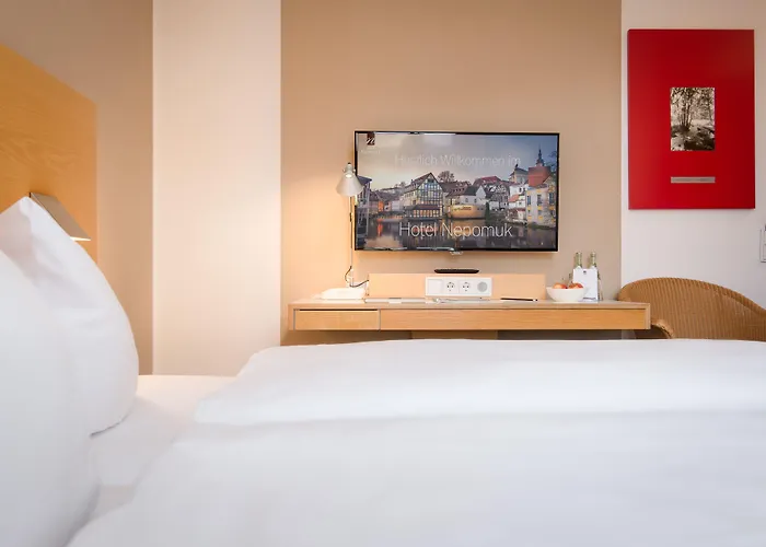Hotel Nepomuk