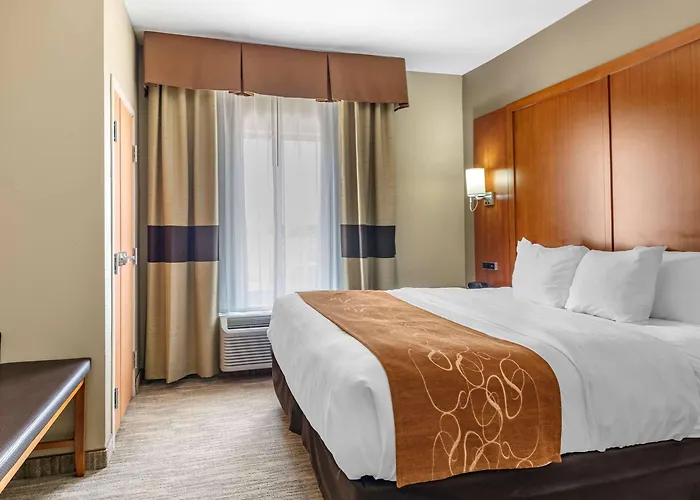 Comfort Suites - University