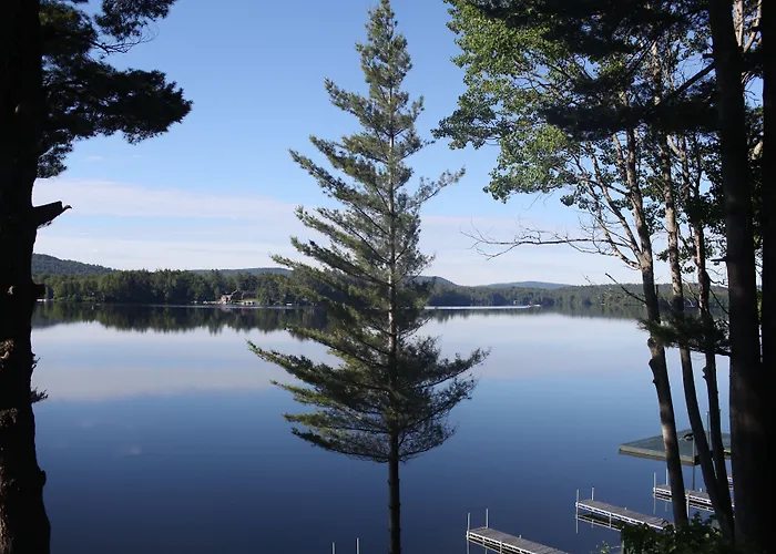 Great Pines