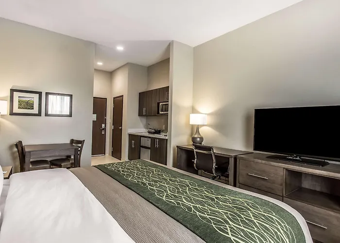 Comfort Inn & Suites Snyder