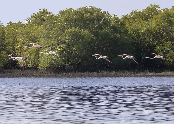 Flamingo Beach Hotel