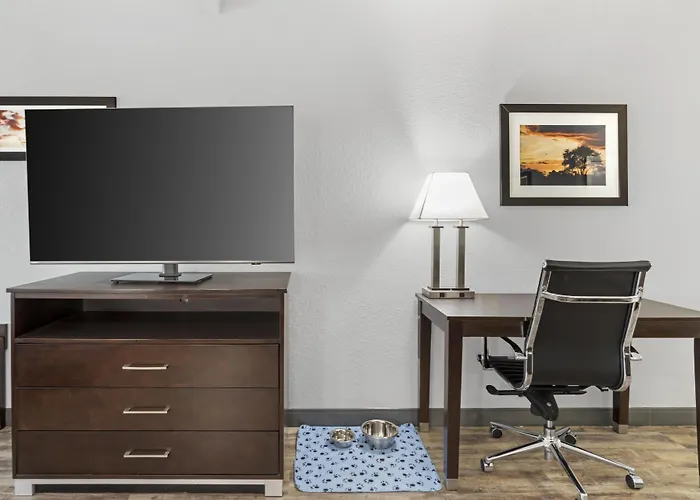 Best Western Plus Lake Jackson Inn & Suites